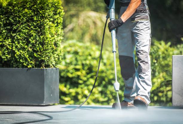 Best Roof Washing  in Spanish Springs, NV
